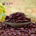 2017crop Dark red kidney bean